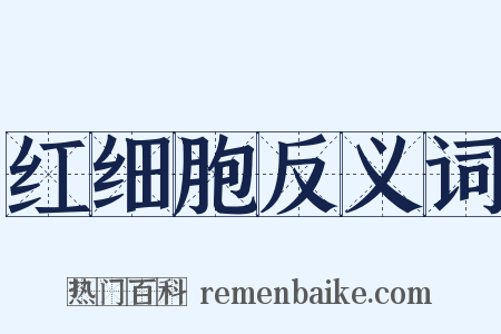 红细胞反义词是什么意思的图片